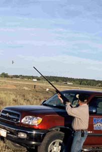 Dove Shooting In Housing Project